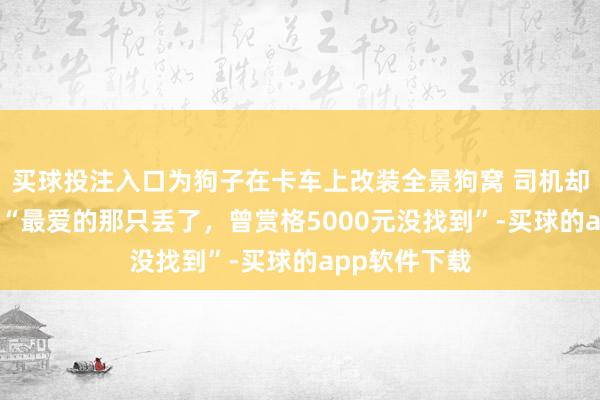 买球投注入口为狗子在卡车上改装全景狗窝 司机却心里酸酸的 “最爱的那只丢了，曾赏格5000元没找到”-买球的app软件下载