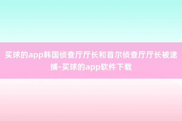 买球的app韩国侦查厅厅长和首尔侦查厅厅长被逮捕-买球的app软件下载