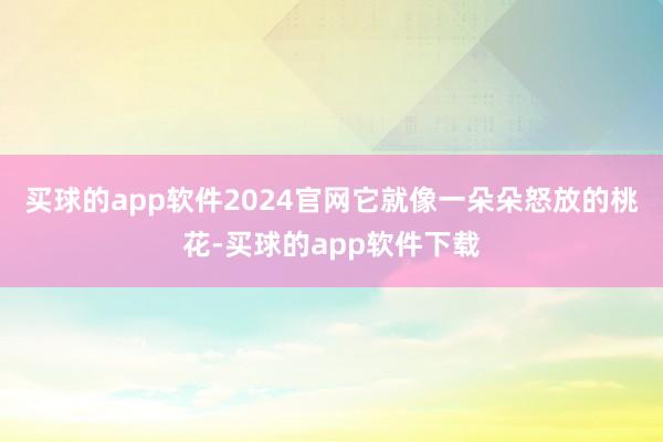 买球的app软件2024官网它就像一朵朵怒放的桃花-买球的app软件下载