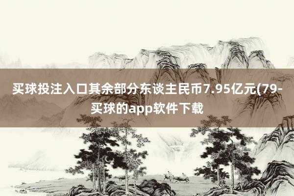 买球投注入口其余部分东谈主民币7.95亿元(79-买球的app软件下载