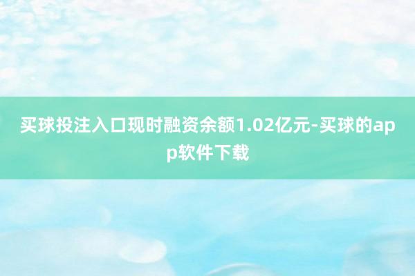 买球投注入口现时融资余额1.02亿元-买球的app软件下载