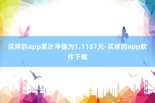 买球的app累计净值为1.1187元-买球的app软件下载
