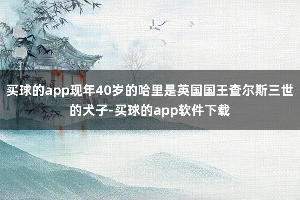 买球的app现年40岁的哈里是英国国王查尔斯三世的犬子-买球的app软件下载