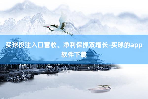 买球投注入口营收、净利保抓双增长-买球的app软件下载