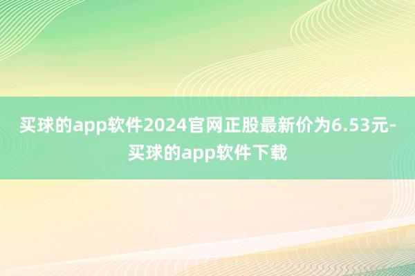 买球的app软件2024官网正股最新价为6.53元-买球的app软件下载