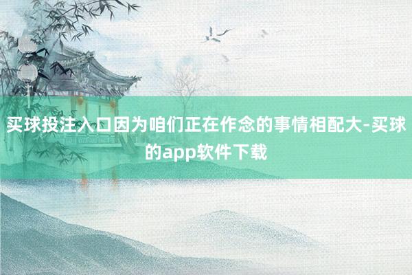 买球投注入口因为咱们正在作念的事情相配大-买球的app软件下载