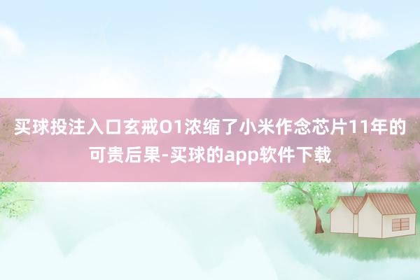 买球投注入口玄戒O1浓缩了小米作念芯片11年的可贵后果-买球的app软件下载