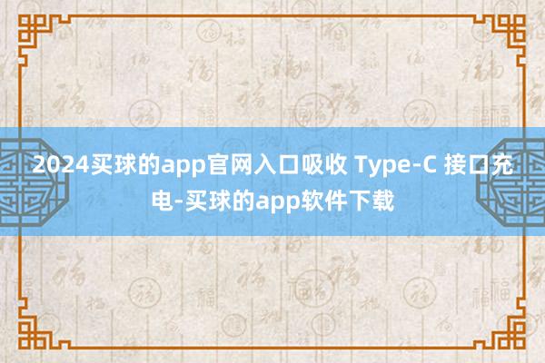 2024买球的app官网入口吸收 Type-C 接口充电-买球的app软件下载