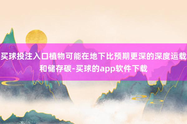 买球投注入口植物可能在地下比预期更深的深度运载和储存碳-买球的app软件下载