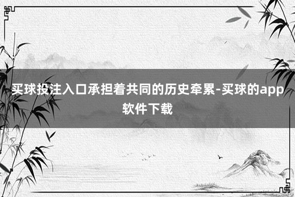 买球投注入口承担着共同的历史牵累-买球的app软件下载