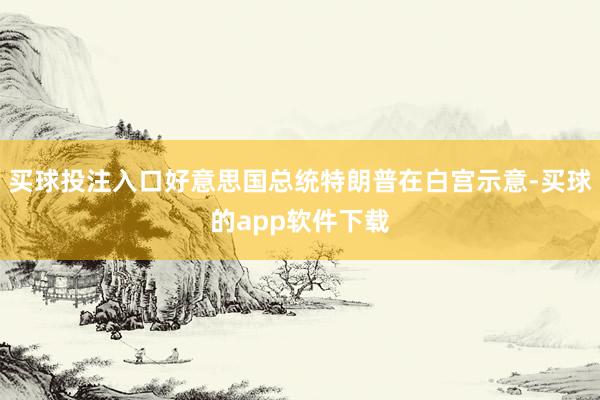 买球投注入口好意思国总统特朗普在白宫示意-买球的app软件下载