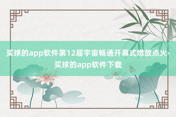 买球的app软件第12届宇宙畅通开幕式燃放点火-买球的app软件下载