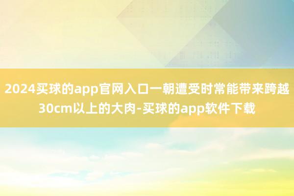 2024买球的app官网入口一朝遭受时常能带来跨越30cm以上的大肉-买球的app软件下载