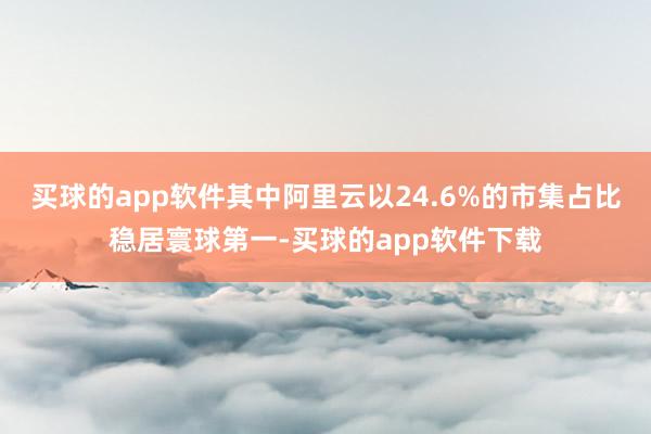 买球的app软件其中阿里云以24.6%的市集占比稳居寰球第一-买球的app软件下载