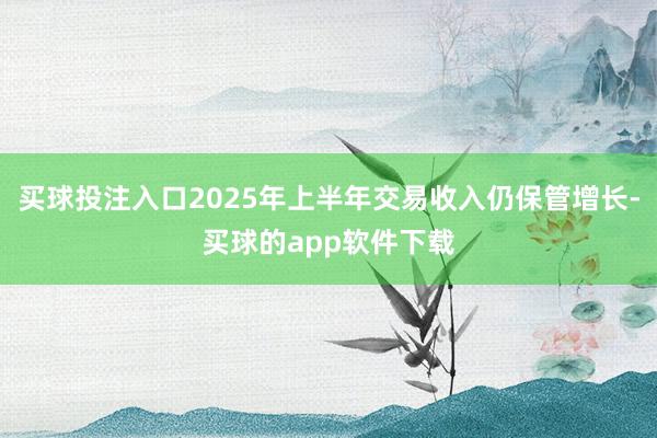 买球投注入口2025年上半年交易收入仍保管增长-买球的app软件下载