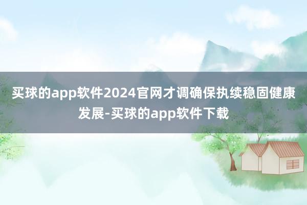 买球的app软件2024官网才调确保执续稳固健康发展-买球的app软件下载