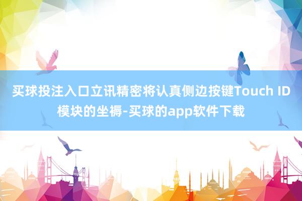 买球投注入口立讯精密将认真侧边按键Touch ID模块的坐褥-买球的app软件下载