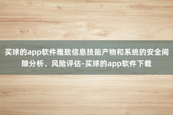 买球的app软件雅致信息技能产物和系统的安全间隙分析、风险评估-买球的app软件下载